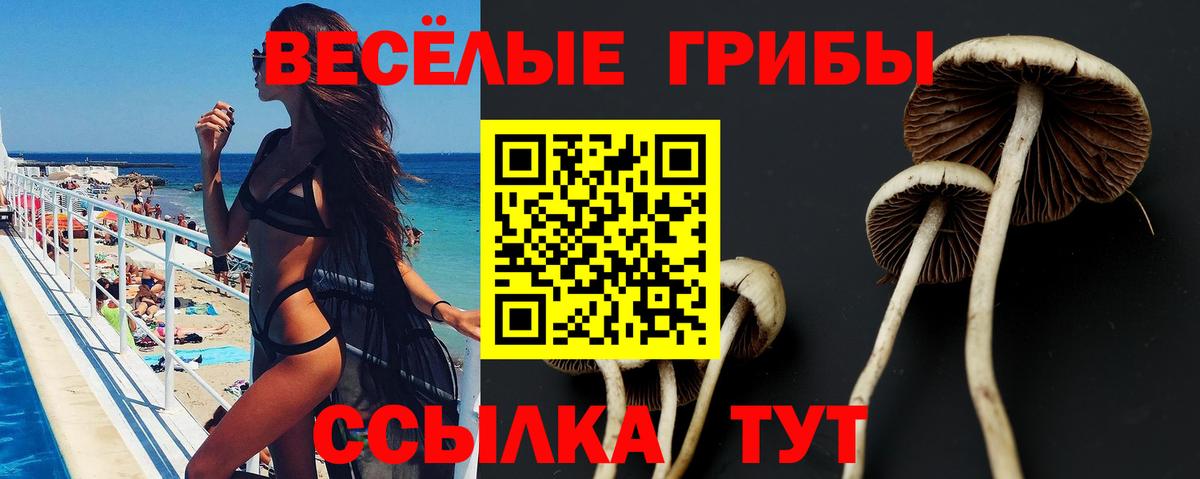 Галлюциногенные грибы мицелий Апрелевка